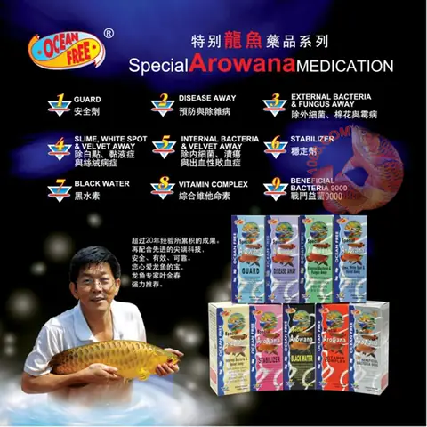 Top 10 Loại Thuốc Cho Cá Rồng Tốt Nhất & Cách Sử Dụng Hiệu Quả