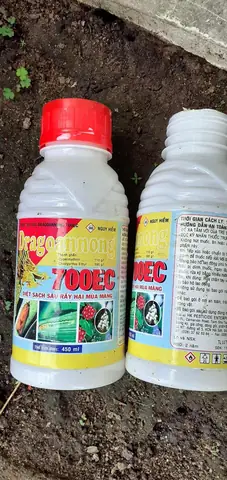 Các Loại Thuốc Gây Chết Cá Phổ Biến Và Cách Xử Lý Khi Phát Hiện