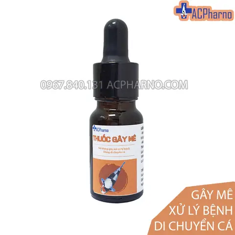Thuốc Mê Cá Rồng: Hướng Dẫn Sử Dụng An Toàn & Lưu Ý Quan Trọng