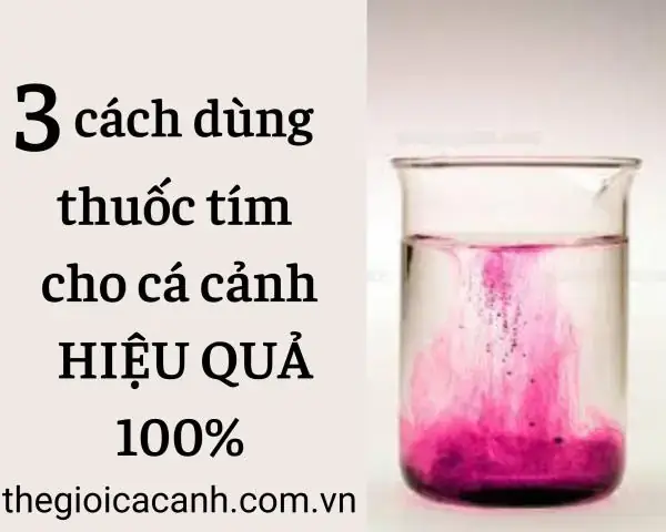 Thuốc Milian Cho Cá: Công Dụng, Liều Dùng Và Cách Sử Dụng Hiệu Quả