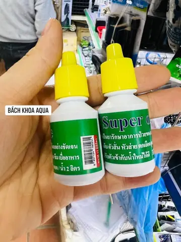 Thuốc Super One Cho Cá Cảnh: Công Dụng, Cách Dùng Và Lưu Ý An Toàn