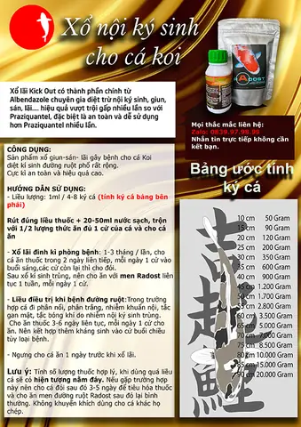 Hướng Dẫn Chi Tiết Cách Tẩy Giun Cho Cá Cảnh Hiệu Quả & Các Loại Thuốc Phổ Biến