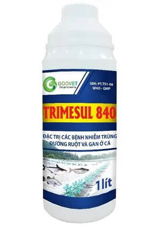 Top Thuốc Thủy Sản Cho Cá: Tăng Cường Sức Khỏe & Phòng Trị Bệnh Hiệu Quả