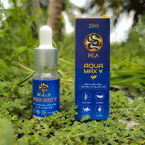 Thuốc Trị Đục Mắt Cá: Nguyên Nhân, Cách Điều Trị Và Phòng Ngừa Hiệu Quả
