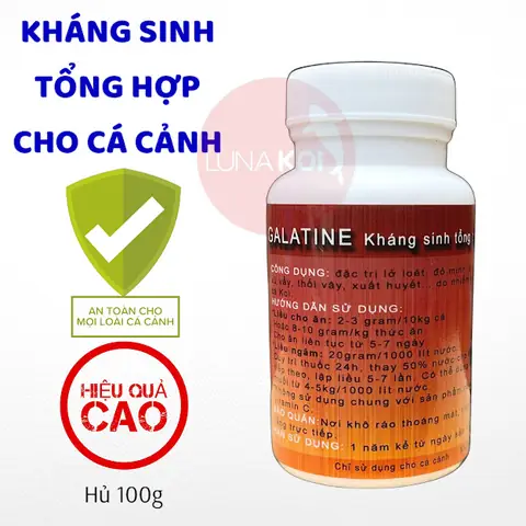 Top 5 Thuốc Trị Lở Loét Cho Cá Hiệu Quả Nhất Hiện Nay