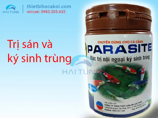 Cách Trị Sán Hồ Cá Cảnh Hiệu Quả & An Toàn: Hướng Dẫn Chi Tiết