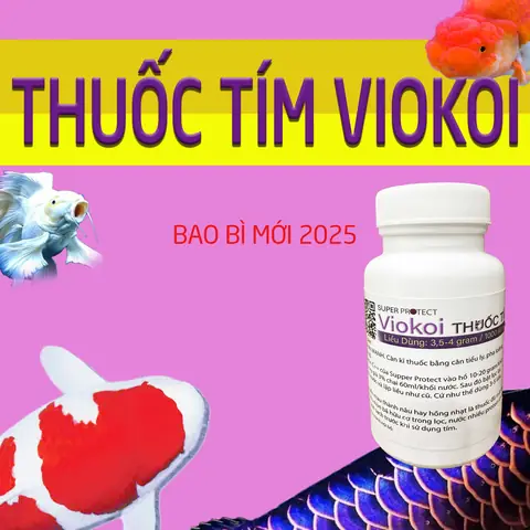 Cách Trị Sán Hồ Cá Cảnh Hiệu Quả & An Toàn: Hướng Dẫn Chi Tiết