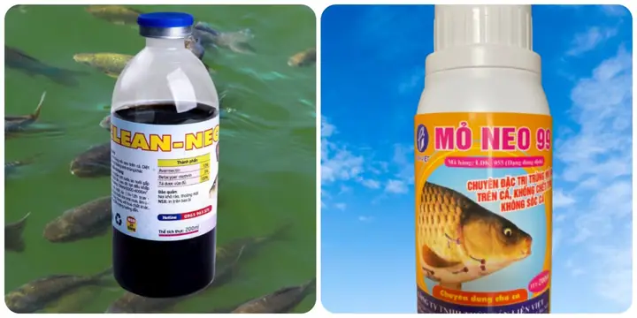 Thuốc Trị Trùng Mỏ Neo Cho Cá: Hướng Dẫn Chi Tiết & Giải Pháp Hiệu Quả
