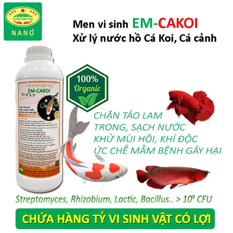 Top 5 Thuốc Xử Lý Nước Hồ Cá Tốt Nhất: Bí Quyết Nước Trong Vắt, Cá Khỏe Mạnh