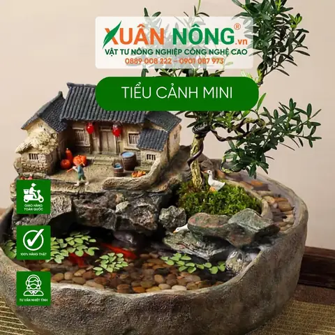 Tiểu Cảnh Hồ Cá Mini: Ý Tưởng Sáng Tạo & Hướng Dẫn Trang Trí Đẹp