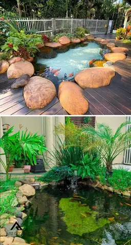 Tiểu Cảnh Hồ Cá Mini: Ý Tưởng Sáng Tạo & Hướng Dẫn Trang Trí Đẹp