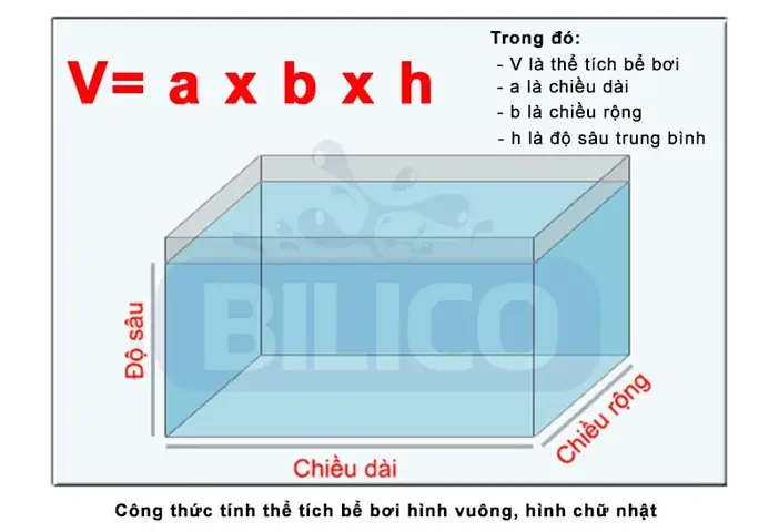 Hướng Dẫn Chi Tiết Cách Tính Diện Tích Kính Bể Cá (không Có Nắp)