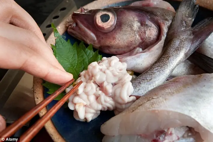 Tinh Hoàn Cá Tuyết Là Gì? Khám Phá Đặc Sản Đắt Đỏ Mang Tên Shirako