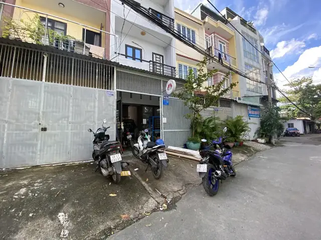 Tìm Trại Cá La Hán Tphcm: Địa Chỉ Uy Tín & Kinh Nghiệm Mua Cá