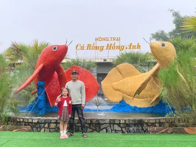 Khám Phá Các Trại Cá Rồng Uy Tín Tại Tp.hcm: Địa Chỉ, Kinh Nghiệm & Lưu Ý Khám Phá Các Trại Cá Rồng Uy Tín Tại Tp.hcm: Địa Chỉ, Kinh Nghiệm & Lưu Ý