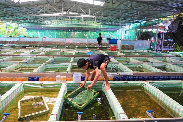 Top Các Trại Cá Cảnh Uy Tín Và Mô Hình Nuôi Phổ Biến Tại Việt Nam Top Các Trại Cá Cảnh Uy Tín Và Mô Hình Nuôi Phổ Biến Tại Việt Nam