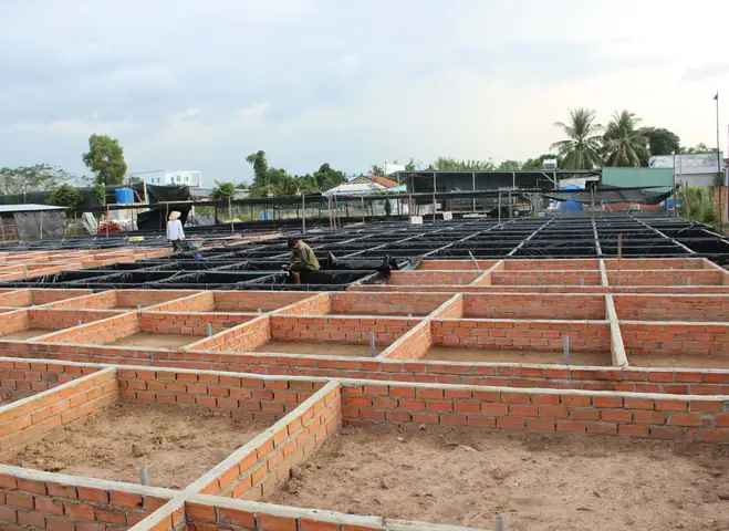 Top Các Trại Cá Cảnh Uy Tín Và Mô Hình Nuôi Phổ Biến Tại Việt Nam Top Các Trại Cá Cảnh Uy Tín Và Mô Hình Nuôi Phổ Biến Tại Việt Nam