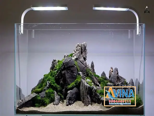Top 10+ Ý Tưởng Trang Trí Bể Cá Thủy Sinh Đẹp Như Nghệ Thuật