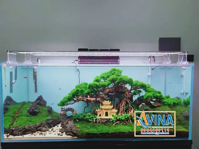 Trang Trí Hồ Cá Thủy Sinh: Ý Tưởng Đẹp & Phụ Kiện Trang Trí Đa Dạng