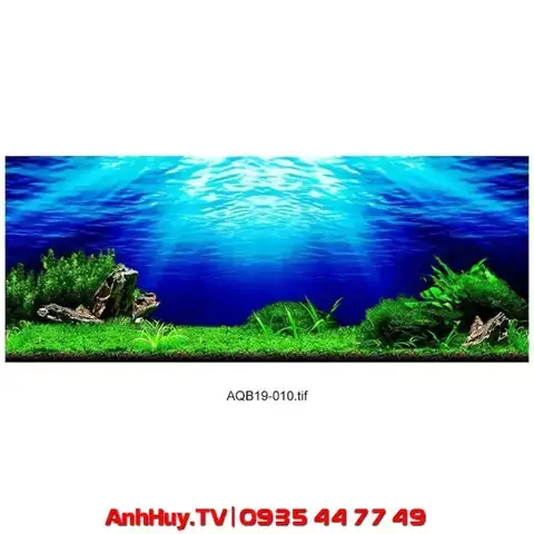 Tranh 3d Hồ Cá Đà Nẵng: Mẫu Đẹp, Giá Tốt & Nơi Mua Uy Tín