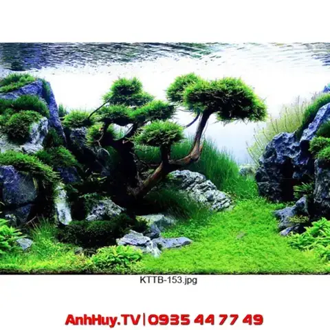 Tranh 3d Hồ Cá Đà Nẵng: Mẫu Đẹp, Giá Tốt & Nơi Mua Uy Tín