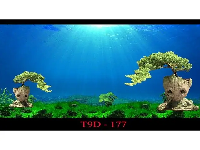 Tranh 3d Hồ Cá Đà Nẵng: Mẫu Đẹp, Giá Tốt & Nơi Mua Uy Tín