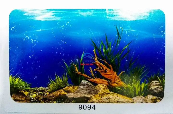 Tranh Dán Bể Cá Mini: Chọn Mẫu, Kích Thước & Cách Dán Đẹp 2025