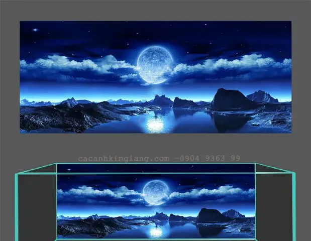 Tranh Hồ Cá Đẹp: Mẫu 3d Đa Dạng, Kích Thước Theo Yêu Cầu, Giá Tốt