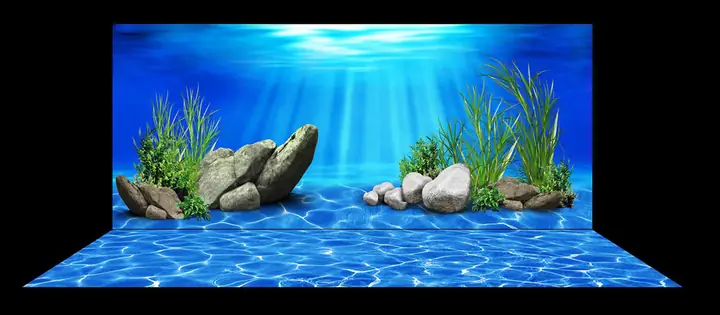 Tranh Hồ Cá Đẹp: Mẫu 3d Đa Dạng, Kích Thước Theo Yêu Cầu, Giá Tốt