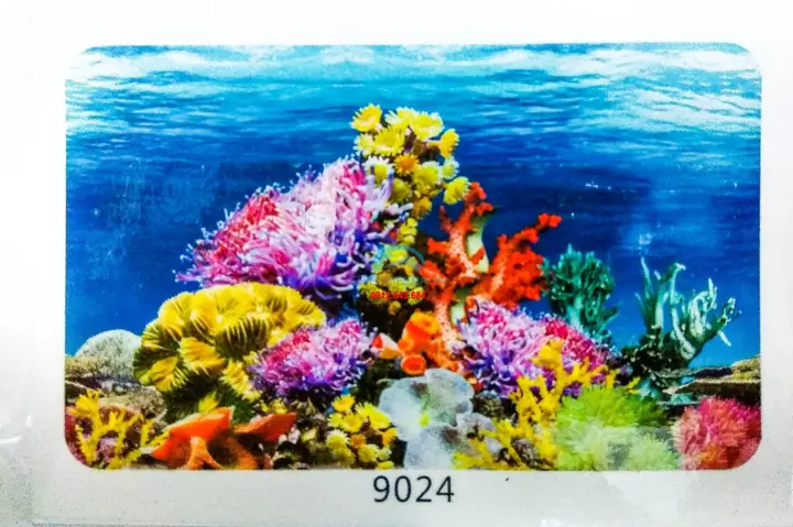 Tranh Hồ Cá Đẹp: Mẫu 3d Đa Dạng, Kích Thước Theo Yêu Cầu, Giá Tốt