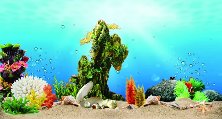 Tranh Hồ Cá Đẹp: Mẫu 3d Đa Dạng, Kích Thước Theo Yêu Cầu, Giá Tốt