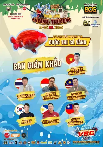 Triển Lãm Cá Cảnh: Thông Tin Sự Kiện, Thời Gian & Địa Điểm Mới Nhất 2025