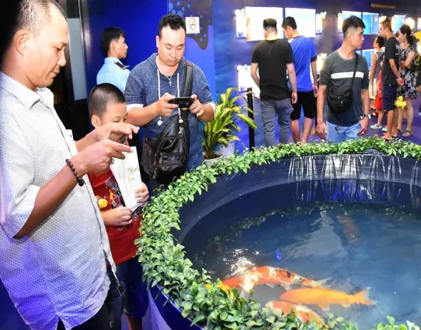 Triển Lãm Cá Cảnh: Thông Tin Sự Kiện, Thời Gian & Địa Điểm Mới Nhất 2025