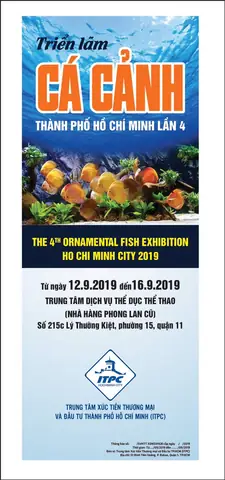 Triển Lãm Cá Cảnh: Thông Tin Sự Kiện, Thời Gian & Địa Điểm Mới Nhất 2025