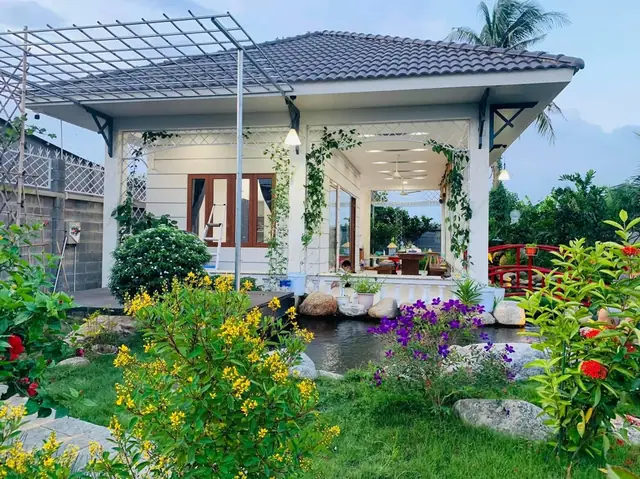 Mô Hình Aquaponics: Trồng Cây Nuôi Cá Tự Nhiên, Hiệu Quả Tại Nhà