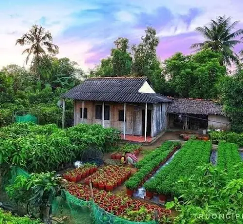 Hướng Dẫn Toàn Diện Mô Hình Trồng Rau Nuôi Cá Aquaponics Tại Nhà