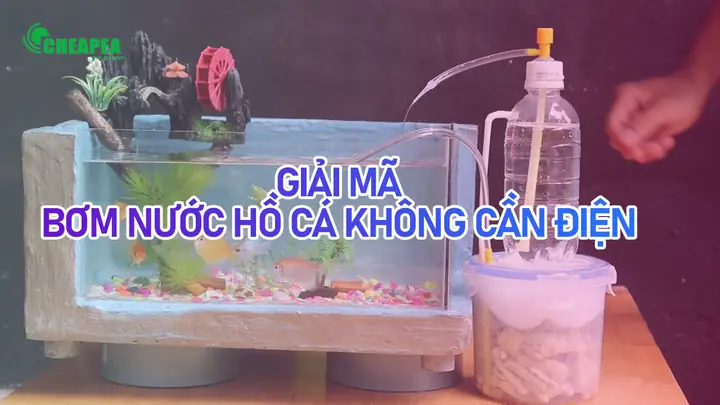 Tự Chế Máy Bơm Nước Hồ Cá: Hướng Dẫn Chi Tiết Từ A-z Không Cần Điện