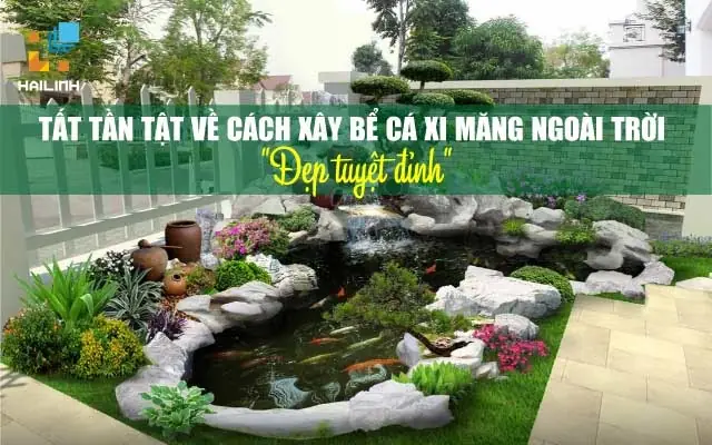 Hướng Dẫn Chi Tiết: Tự Xây Bể Cá Cảnh Đẹp Như Ý Từ A-z
