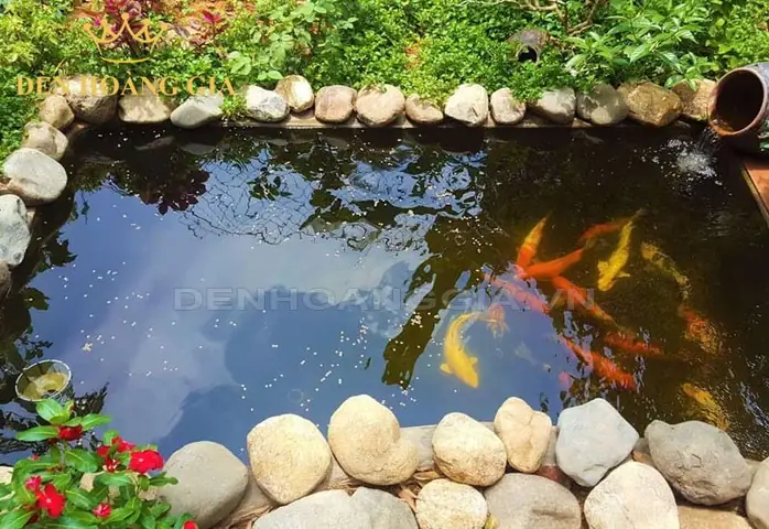 Hướng Dẫn Chi Tiết: Tự Xây Bể Cá Cảnh Đẹp Như Ý Từ A-z