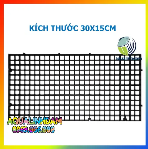 Vách Ngăn Bể Cá Hà Nội: Lựa Chọn, Kích Thước Và Nơi Mua