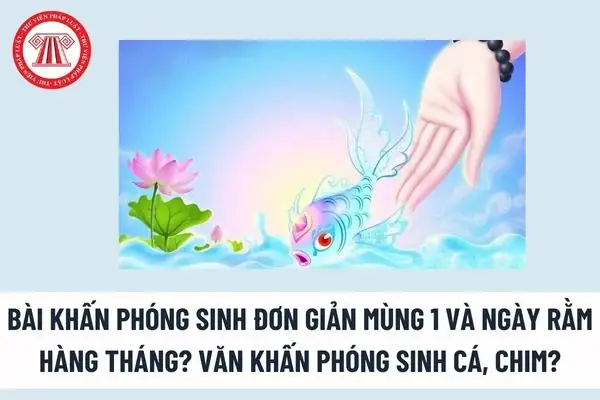 Văn Khấn Phóng Sinh Cá: Hướng Dẫn Đầy Đủ Nghi Thức, Bài Cúng Chuẩn