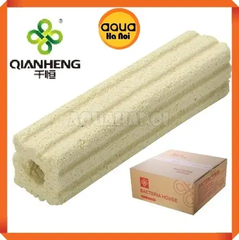 Mua Vật Liệu Lọc Bể Cá Ở Hà Nội: Địa Chỉ Uy Tín & Các Loại Phổ Biến