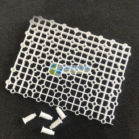 Vỉ Lọc Đáy Hồ Cá: Hướng Dẫn Lựa Chọn & Lắp Đặt Hiệu Quả