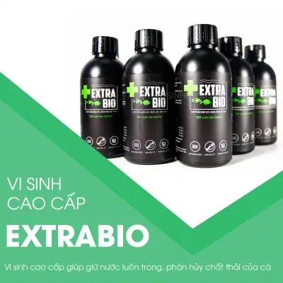 Sinh Nào Tốt Nhất Cho Bể Cá Cảnh: Lựa Chọn & Công Dụng