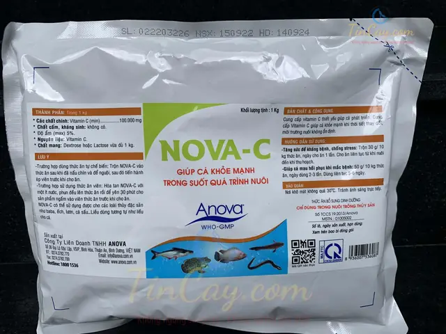 Vitamin C 500mg Cho Cá: Công Dụng, Cách Dùng Hiệu Quả Và Lưu Ý Quan Trọng