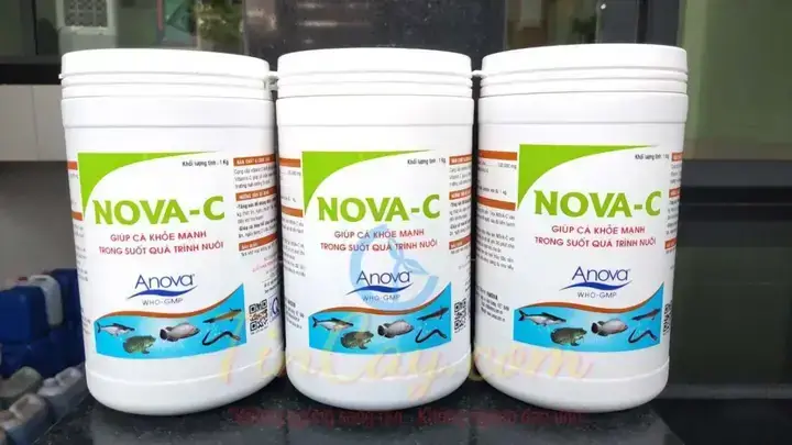 Vitamin C 500mg Cho Cá: Công Dụng, Cách Dùng Hiệu Quả Và Lưu Ý Quan Trọng
