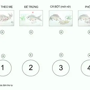 Vòng Đời Cá: Hành Trình Sinh Sản Từ Trứng Đến Trưởng Thành