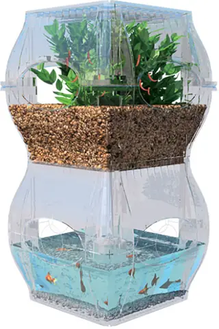 Mô Hình Aquaponics: Hướng Dẫn Nuôi Cá Kết Hợp Trồng Rau Hiệu Quả