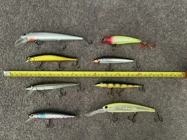 Walleye Là Cá Gì? Đặc Điểm, Phân Loại Và Thông Tin Chi Tiết