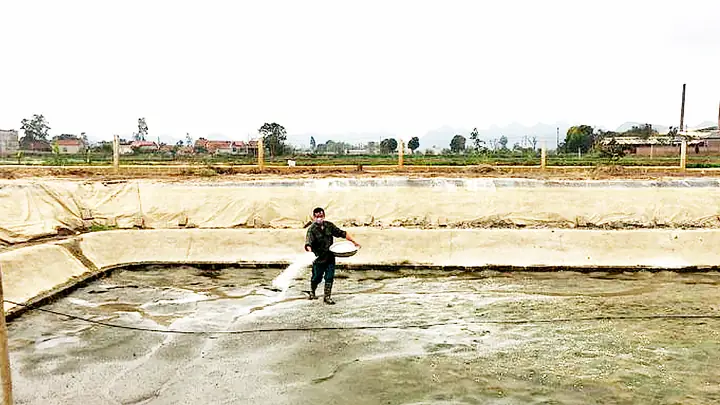 Hướng Dẫn Chi Tiết Cách Đào Ao Nuôi Cá Chuẩn Kỹ Thuật Cho Người Mới Bắt Đầu